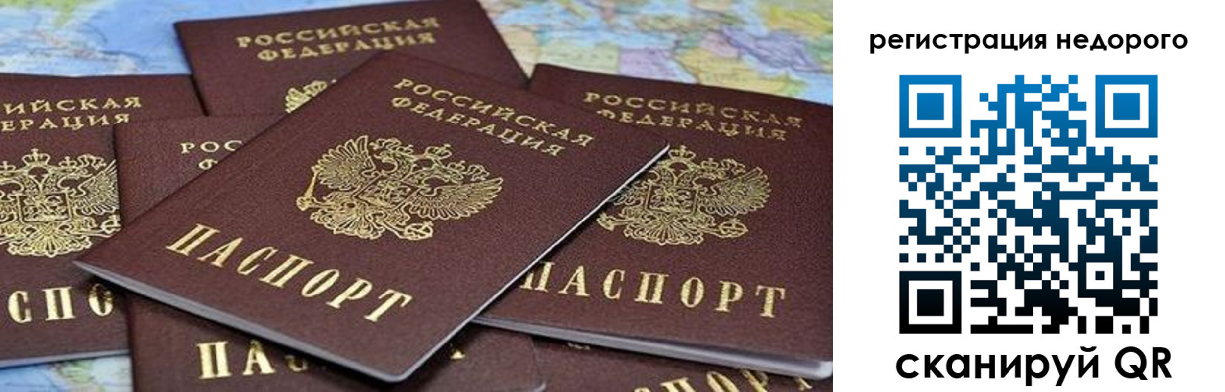 прописка штамп в Новозыбкове